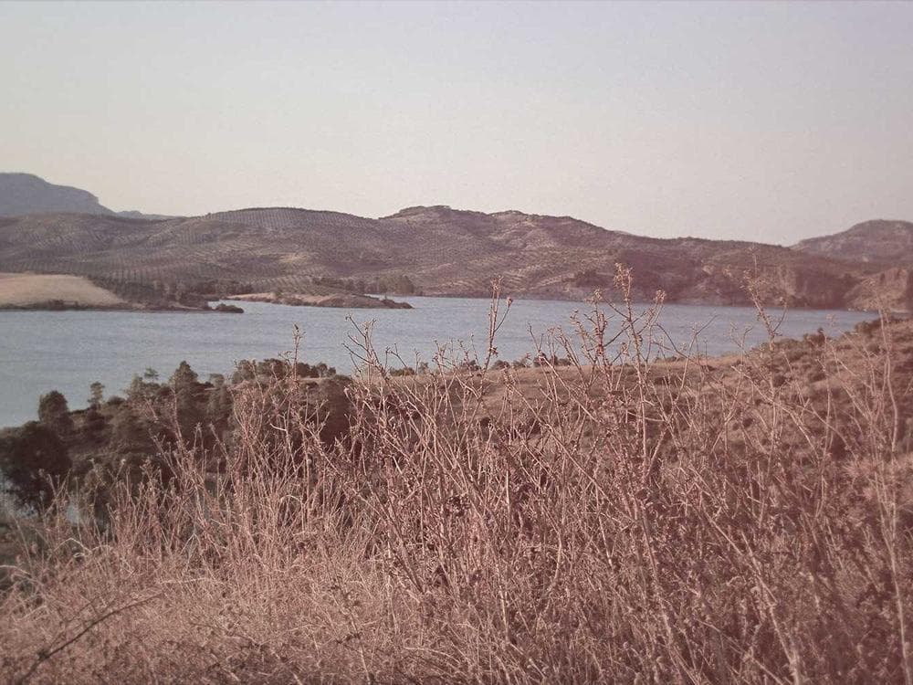 6247 5th Ct view 3